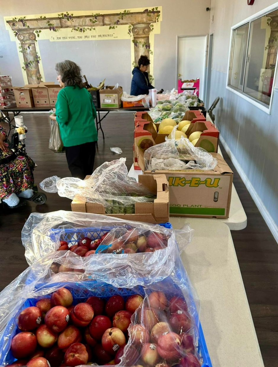 Fresh fruit ready to share